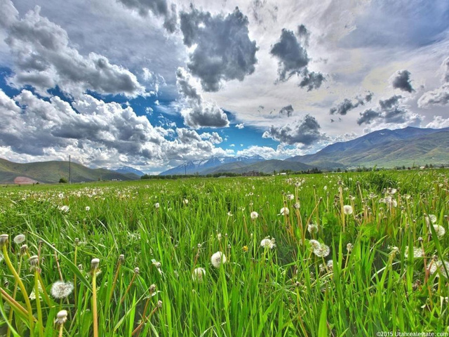 2000 W 2400 S, Midway, UT 84049 — photo 10