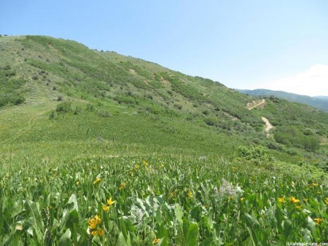 155 Mt Air Lower Loop #155, Oakley, UT 84055 — photo 4