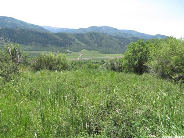 155 Mt Air Lower Loop #155, Oakley, UT 84055 — photo 5