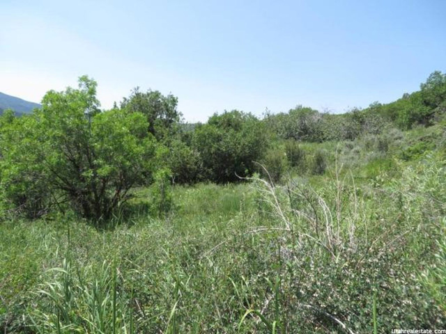 155 Mt Air Lower Loop #155, Oakley, UT 84055 — photo 6