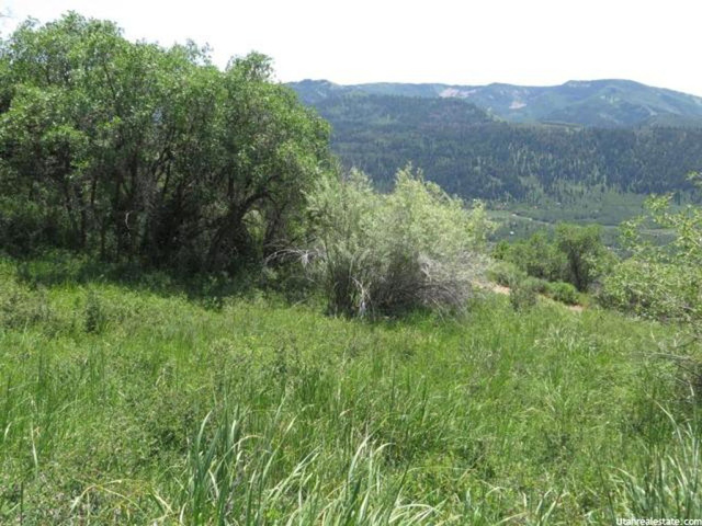 155 Mt Air Lower Loop #155, Oakley, UT 84055 — photo 7