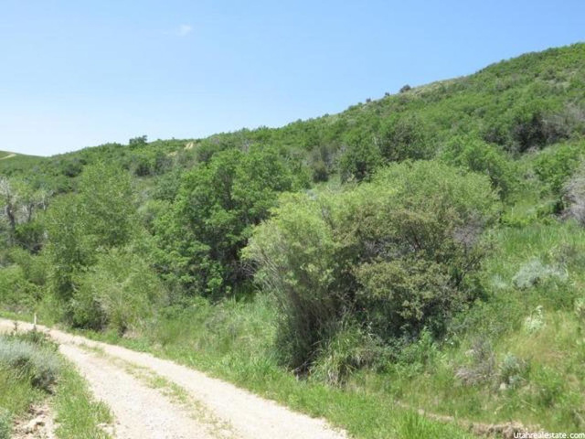155 Mt Air Lower Loop #155, Oakley, UT 84055 — photo 8