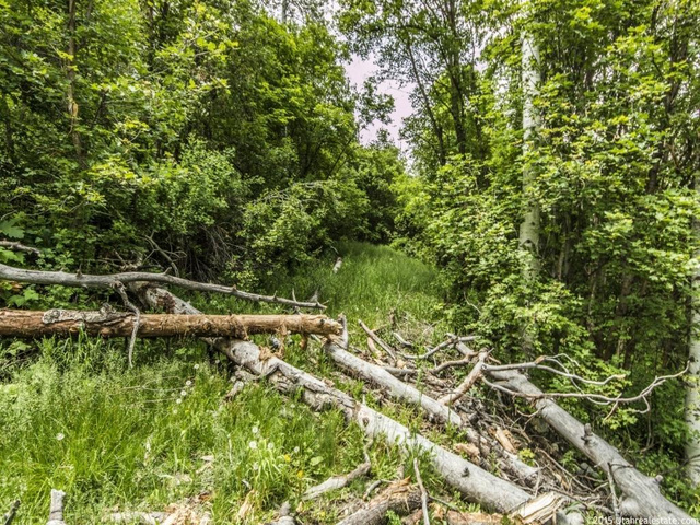 24 Twist Dr #24A, Midway, UT 84049 — photo 4