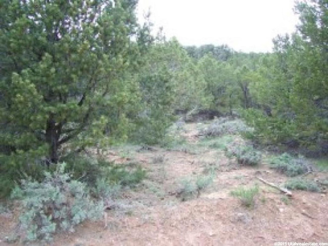 #6, Tabiona, UT 84072 — photo 4
