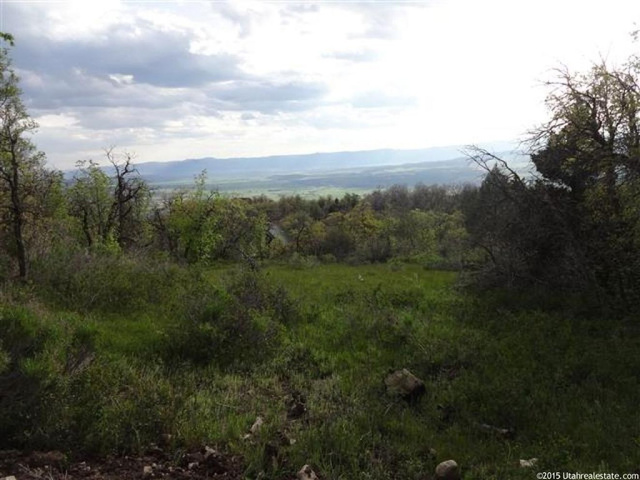 13480 E Juniper Dr #M-33, Fairview, UT 84629 — photo 2