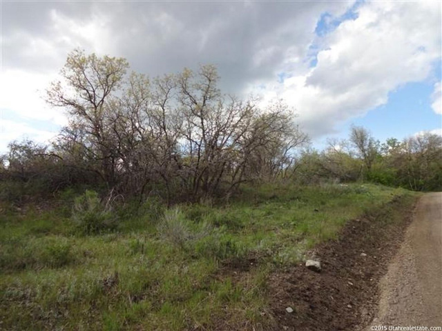 13385 E Juniper Dr #M-89, Fairview, UT 84629 — photo 2
