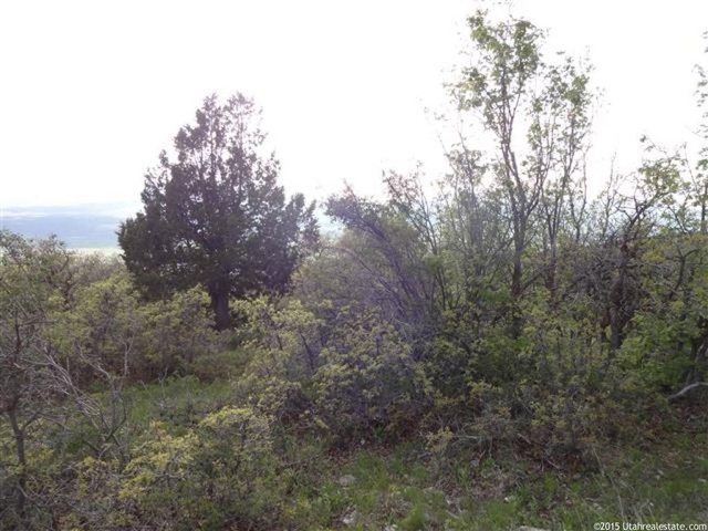 13385 E Juniper Dr #M-89, Fairview, UT 84629 — photo 3