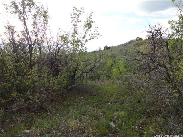 13385 E Juniper Dr #M-89, Fairview, UT 84629 — photo 4