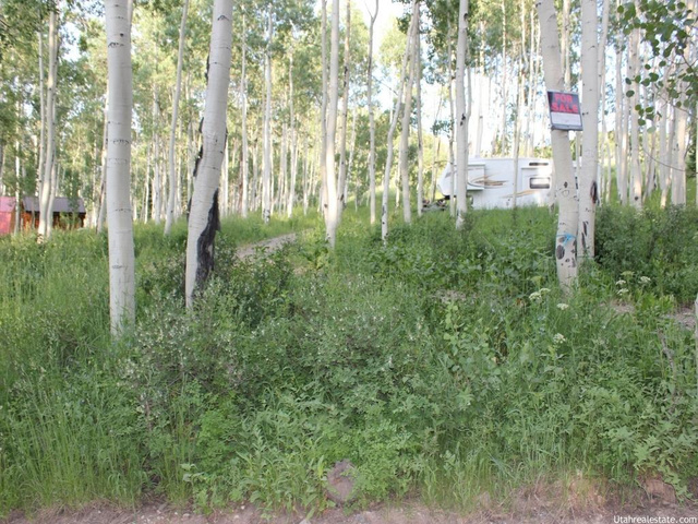 #89, Fairview, UT 84629 — photo 4