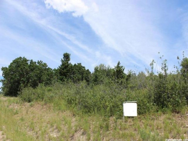 #70, Fairview, UT 84629 — photo 3