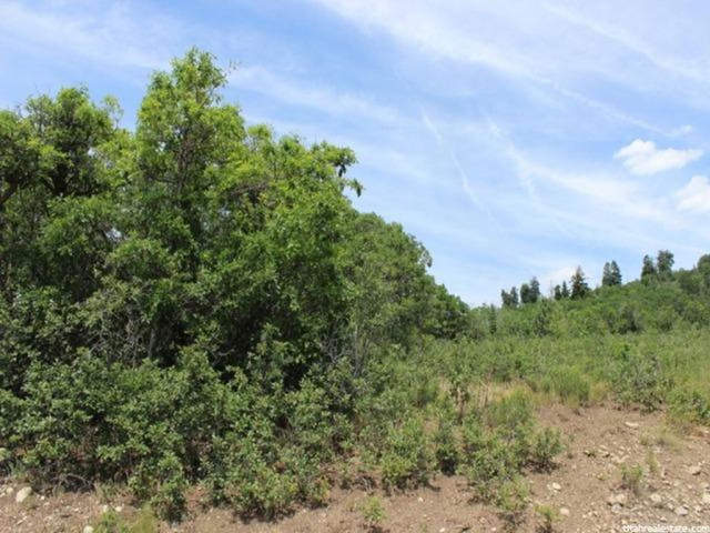 #70, Fairview, UT 84629 — photo 4