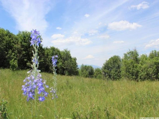 #32, Fairview, UT 84629 — photo 7