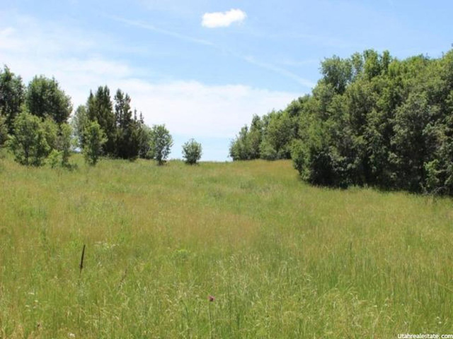 #32, Fairview, UT 84629 — photo 8