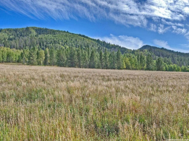 4404 Weber Canyon Rd, Oakley, UT 84055 — photo 4