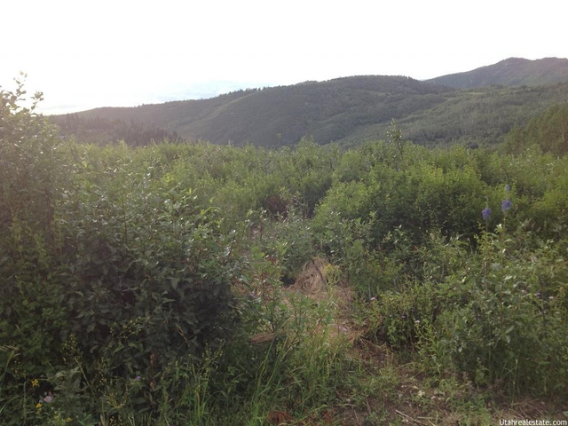14975 E Thads Peak Dr #J-61, Fairview, UT 84629 — photo 3