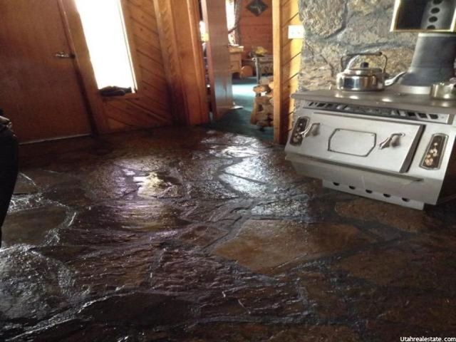Challis, ID 83226 — photo 2