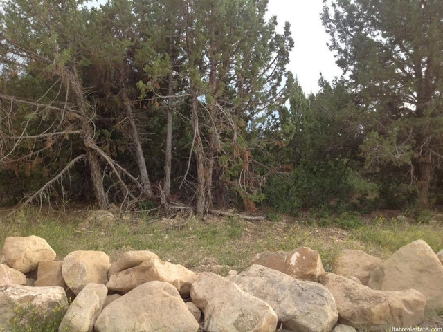 12820 E Juniper Dr #B-38, Fairview, UT 84629 — photo 2