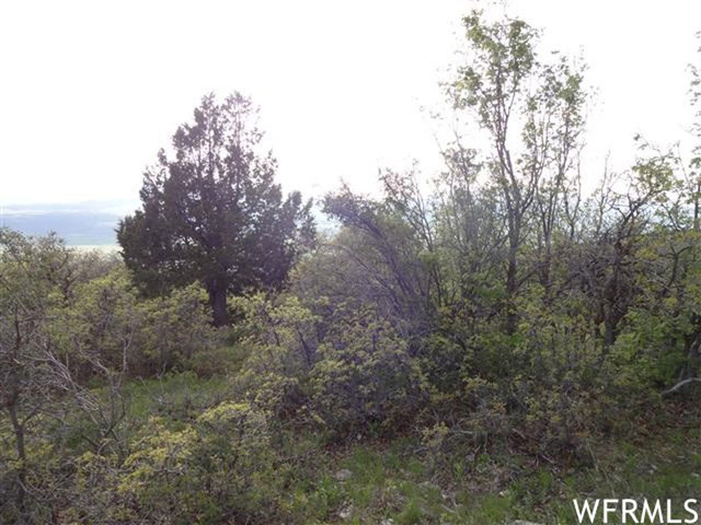 13385 E Juniper Dr #M-89, Fairview, UT 84629 — photo 3