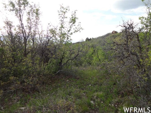 13385 E Juniper Dr #M-89, Fairview, UT 84629 — photo 2