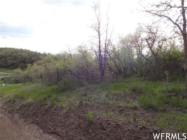 13385 E Juniper Dr #M-89, Fairview, UT 84629 — photo 4