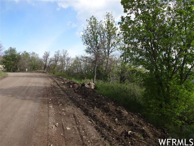 13480 E Juniper Dr #M-33, Fairview, UT 84629 — photo 2