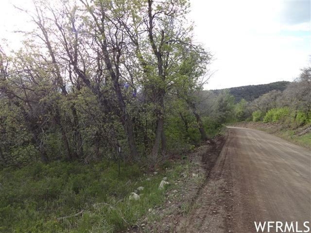 13480 E Juniper Dr #M-33, Fairview, UT 84629 — photo 3