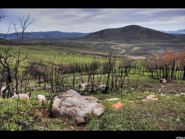 298 Parkview Ln ##298, Wanship, UT 84017 — photo 3