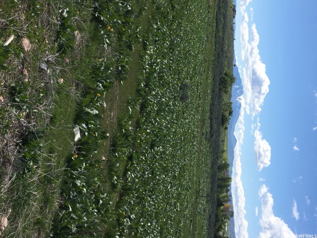 4085 E 4325 N, Eden, UT 84310 — photo 5