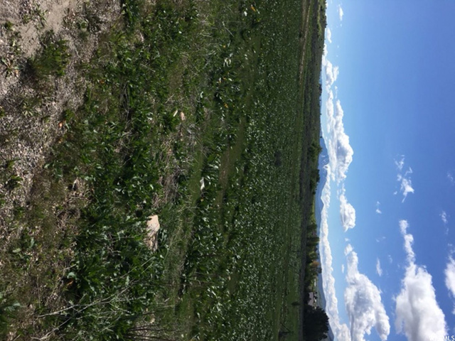 4085 E 4325 N, Eden, UT 84310 — photo 6