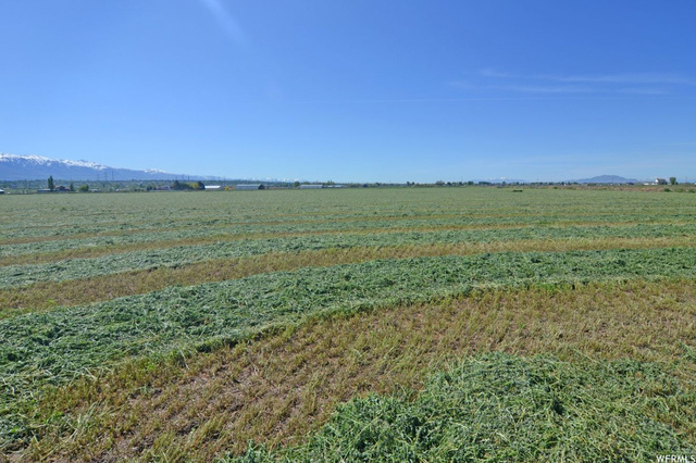 3689 W 2550 S, Taylor, UT 84401 — photo 7