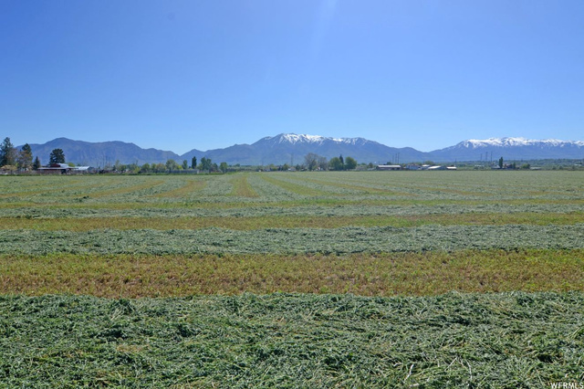 3689 W 2550 S, Taylor, UT 84401 — photo 9
