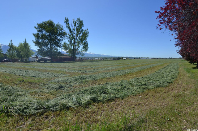 3689 W 2550 S, Taylor, UT 84401 — photo 5