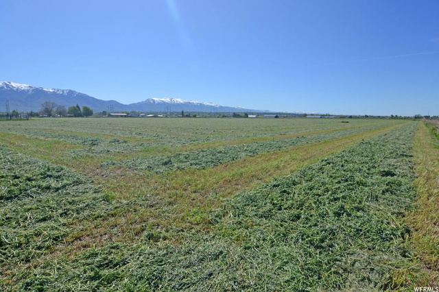 3689 W 2550 S, Taylor, UT 84401 — photo 8