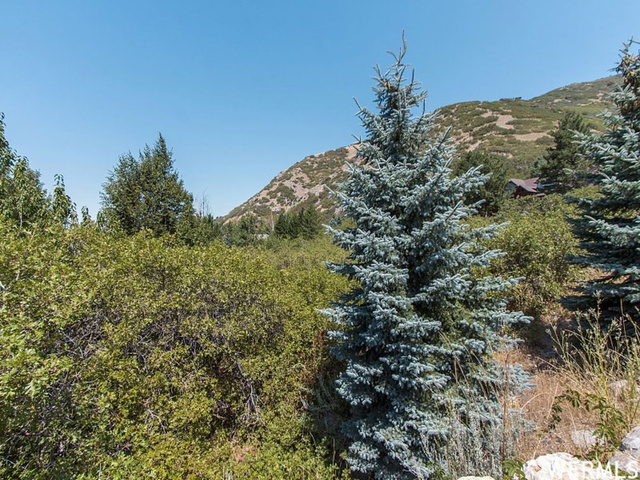 2565 E Jacqueline St #92, Ogden, UT 84403 — photo 4