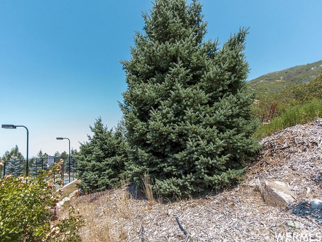 2565 E Jacqueline St #92, Ogden, UT 84403 — photo 5