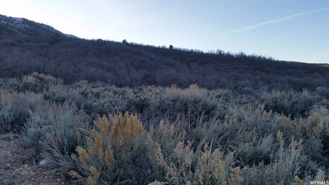 #35, Tabiona, UT 84072 — photo 4