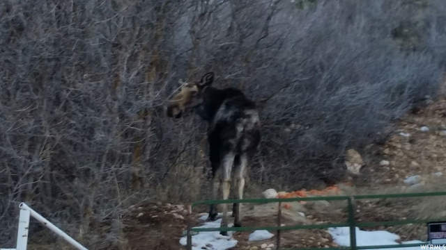 #36, Tabiona, UT 84072 — photo 2