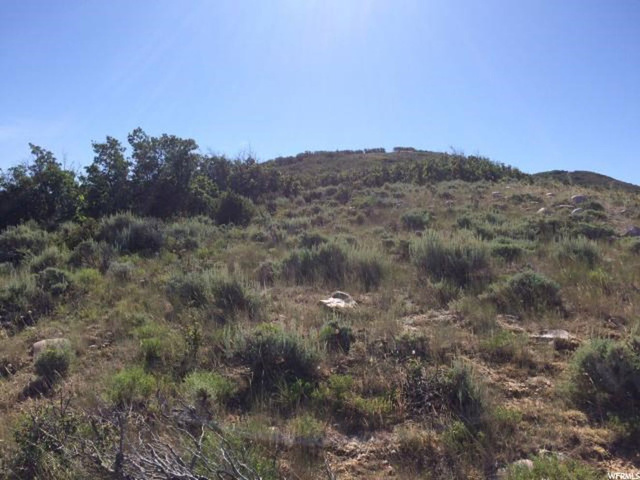 29 Moosehorn Rd #29, Echo, UT 84024 — photo 4
