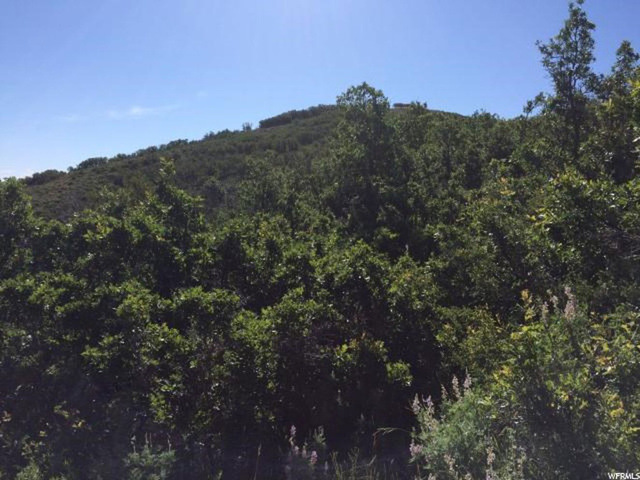 29 Moosehorn Rd #29, Echo, UT 84024 — photo 2