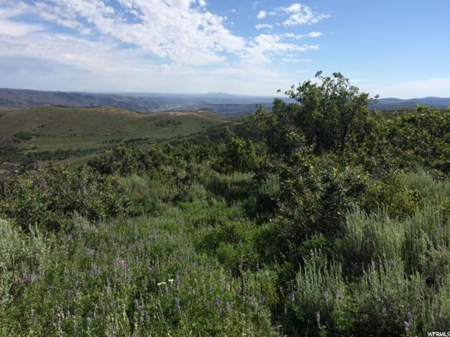 52 S Grasscreek Rd #52, Echo, UT 84024 — photo 2