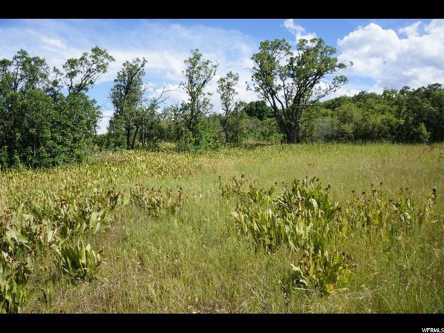 1950 N 4500 E, Eden, UT 84310 — photo 7