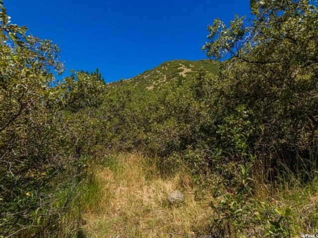 2564 E Jacqueline Dr #85, Uintah, UT 84403 — photo 9