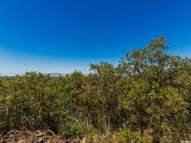 2564 E Jacqueline Dr #85, Uintah, UT 84403 — photo 11