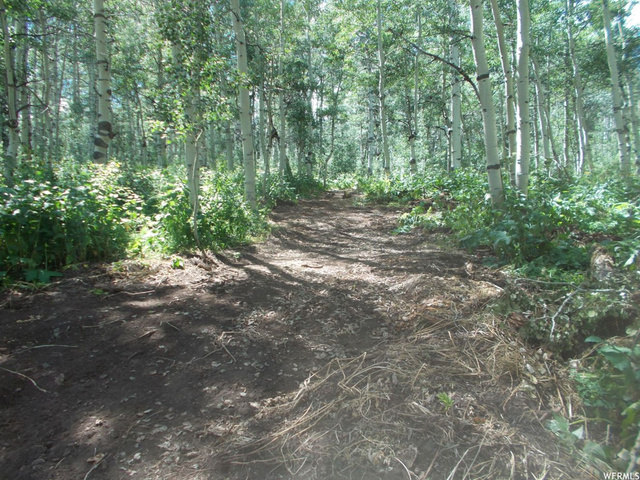 75 10 #0010, Paradise, UT 84328 — photo 11