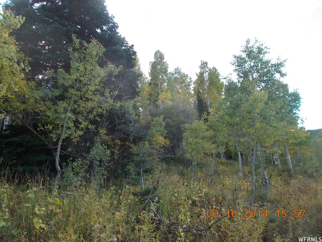 75 10 #0010, Paradise, UT 84328 — photo 3
