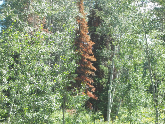 75 10 #0010, Paradise, UT 84328 — photo 2