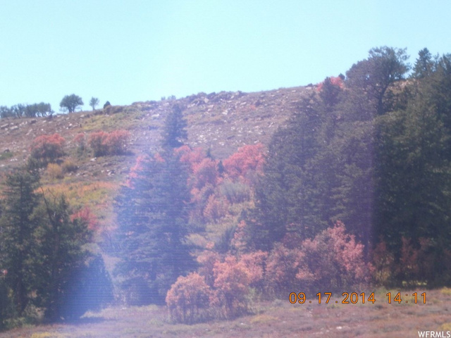75 10 #0010, Paradise, UT 84328 — photo 5