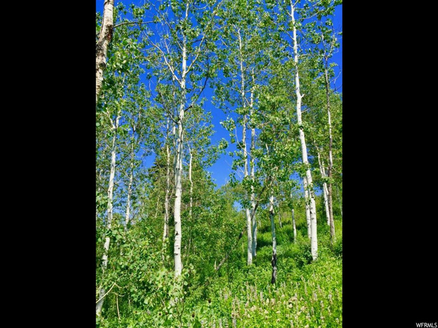 136 S Pine Meadows Dr, Wanship, UT 84017 — photo 2