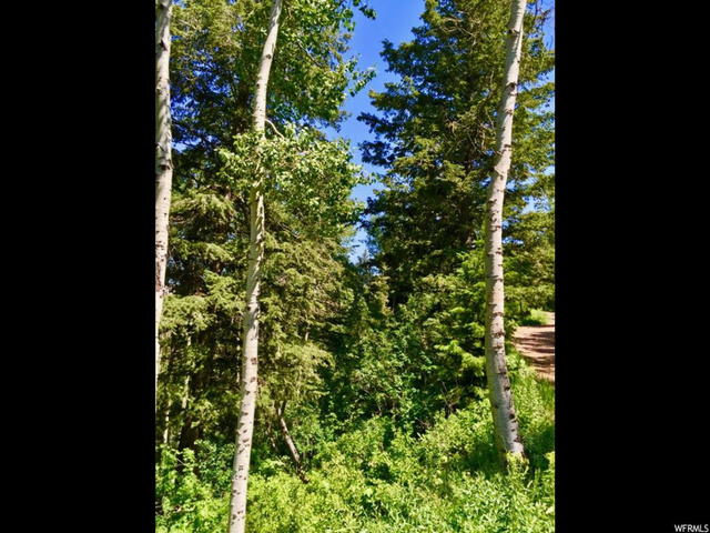 136 S Pine Meadows Dr, Wanship, UT 84017 — photo 4