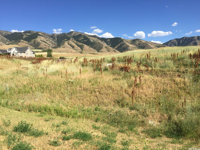 225 N 900 E, Hyde Park, UT 84318 — photo 12